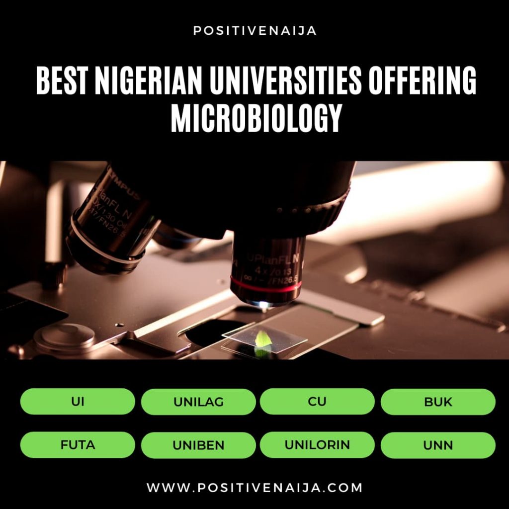 Best Nigerian Universities Offering Microbiology - PositiveNaija